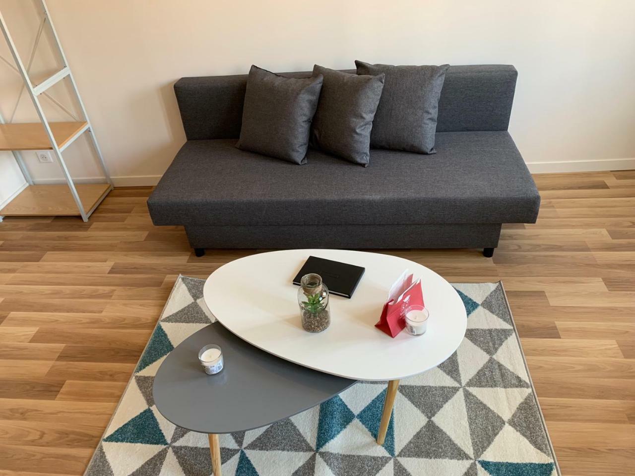 Esprit Studio Sur Plateau Central 克莱蒙费朗 外观 照片